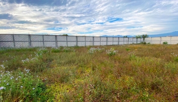 TERRENO EJIDOS AR 4.jpg